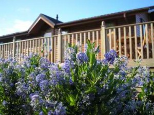 lodges for sale Cornwall